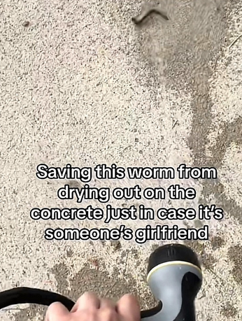 worm