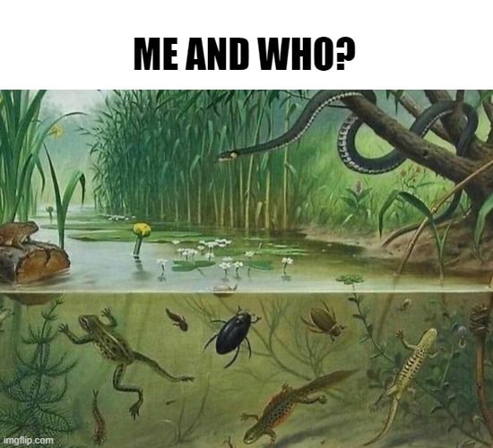 ***