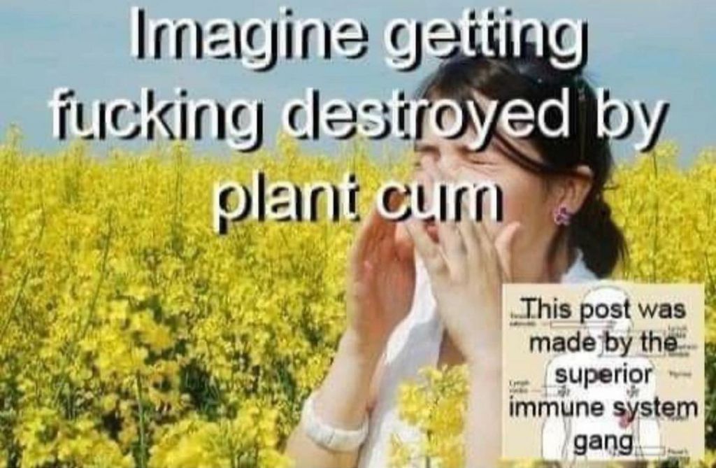 Plebs