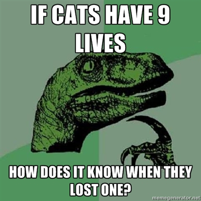 I've always wondered.