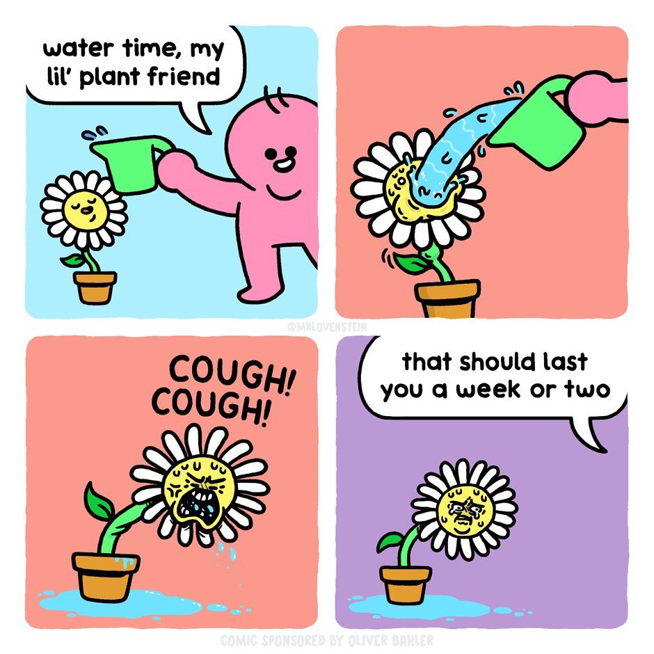 "be water my friend"