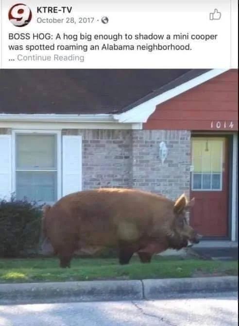 ***