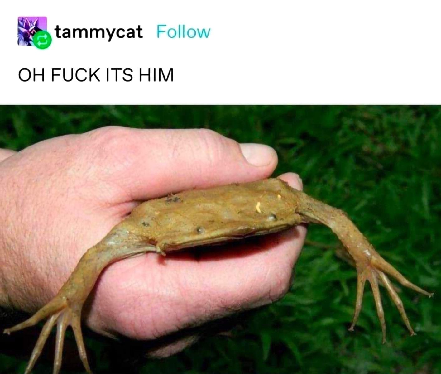 ._.