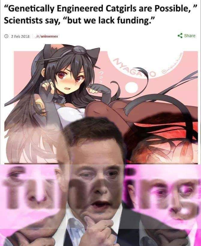 How do I make catgirls on Minecraft?