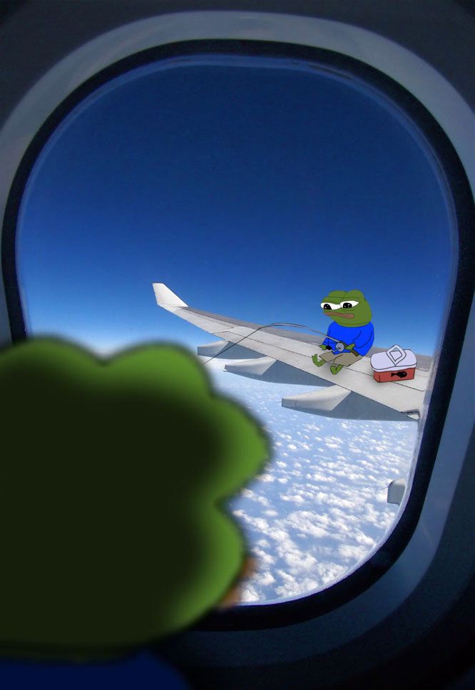 Pepe/apu a day - 567 fly