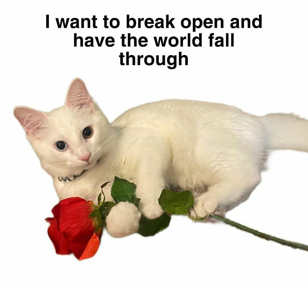 ***