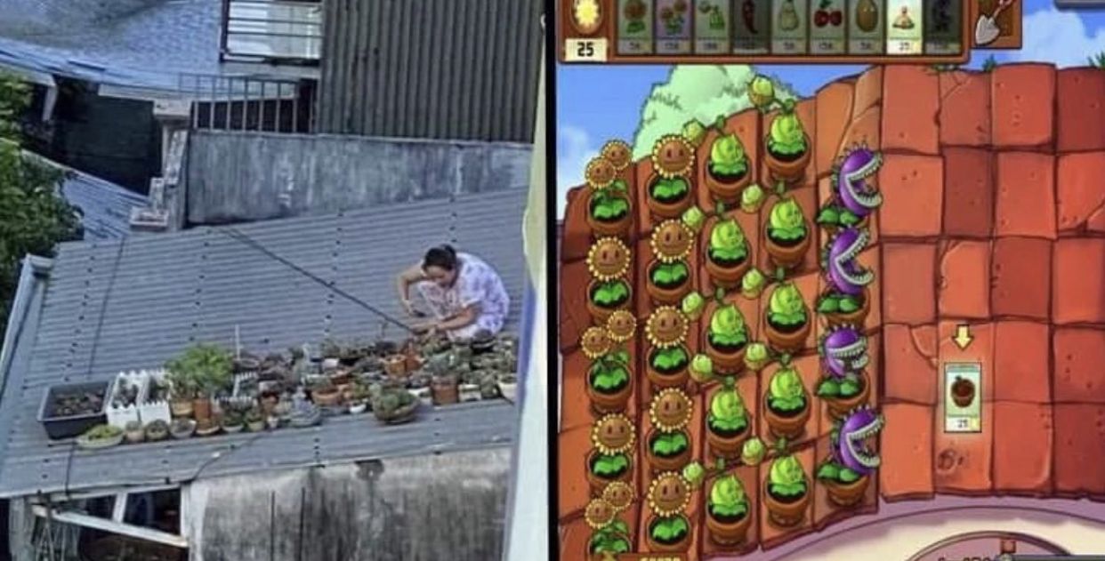 Life imitates art