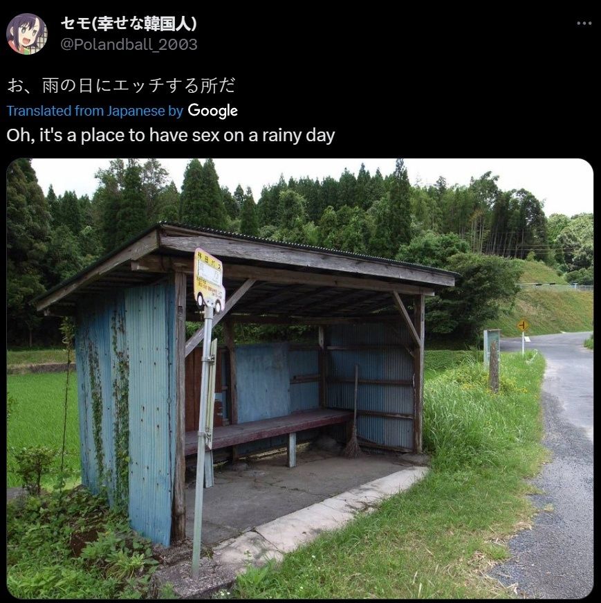 bus