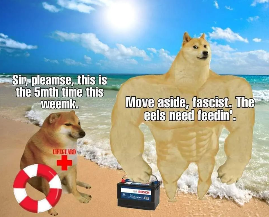 Recycling is a scam
