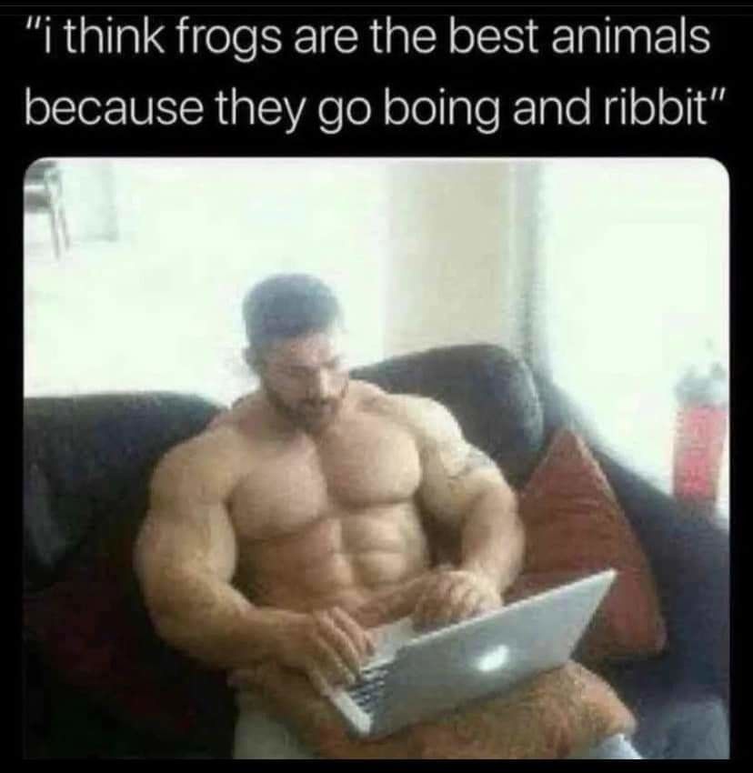 why i post the frogs