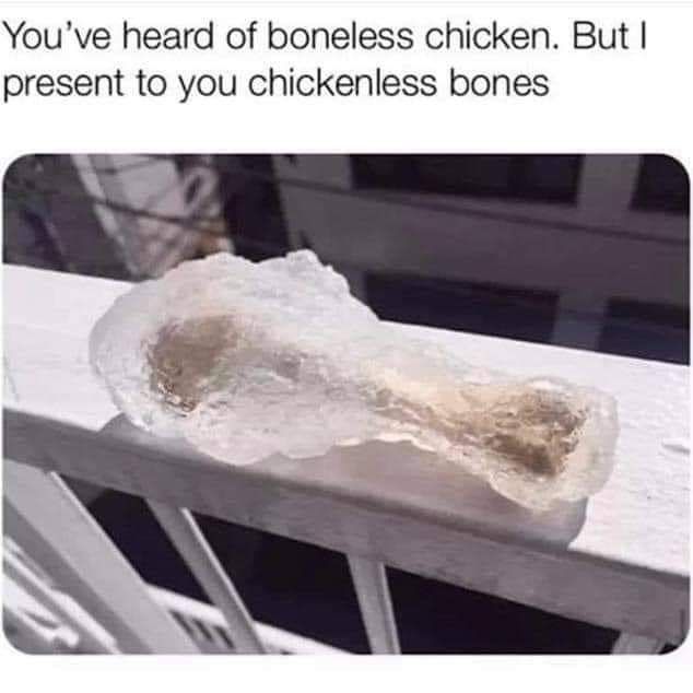 Is this vegan?!