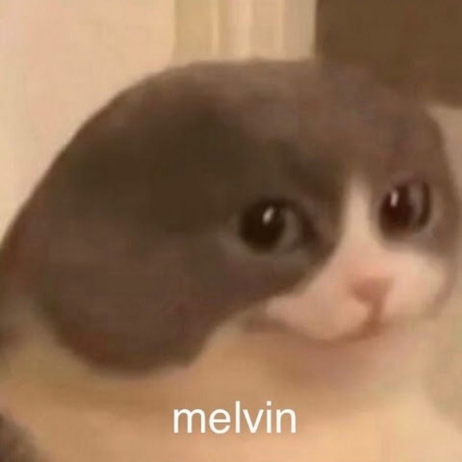 Melvin