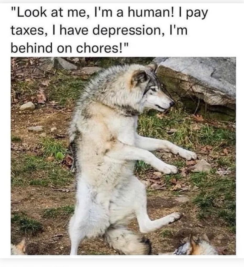 me irl