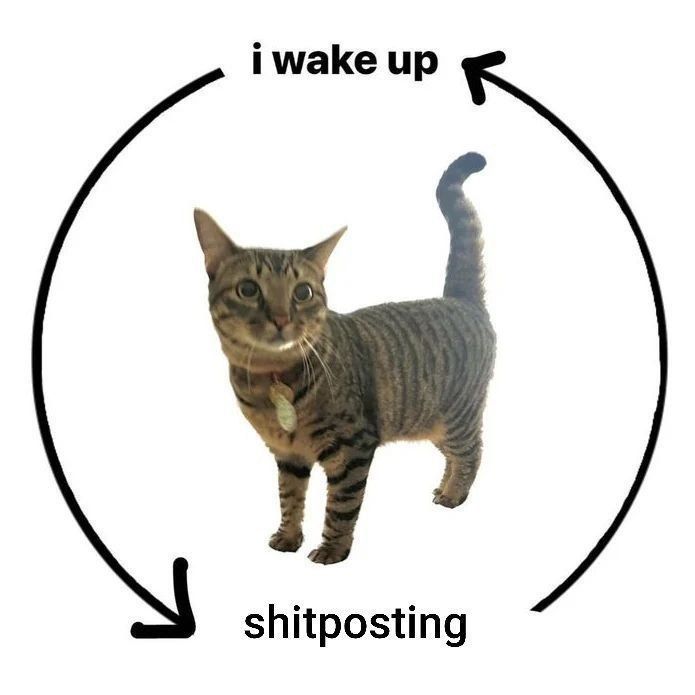 it rly do be like dat
