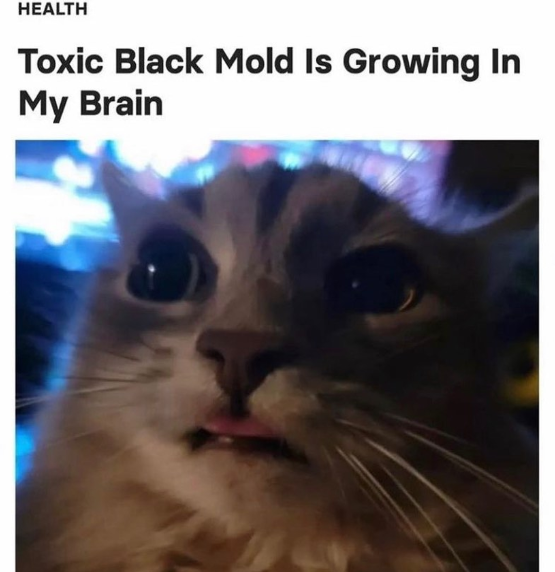 ***