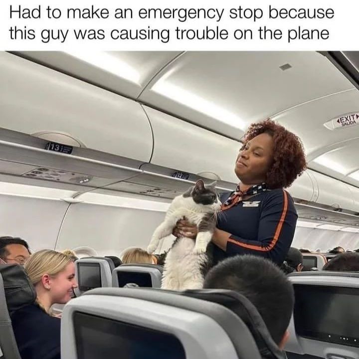 ***