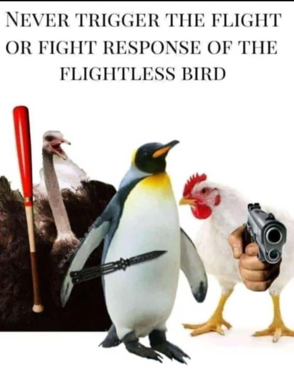 you have been warned