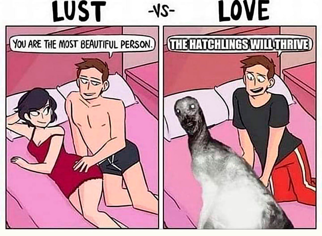 ***