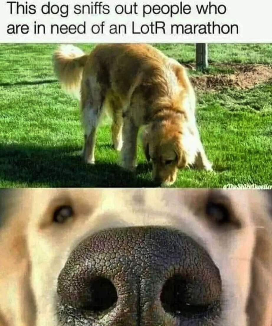 Such a good boy