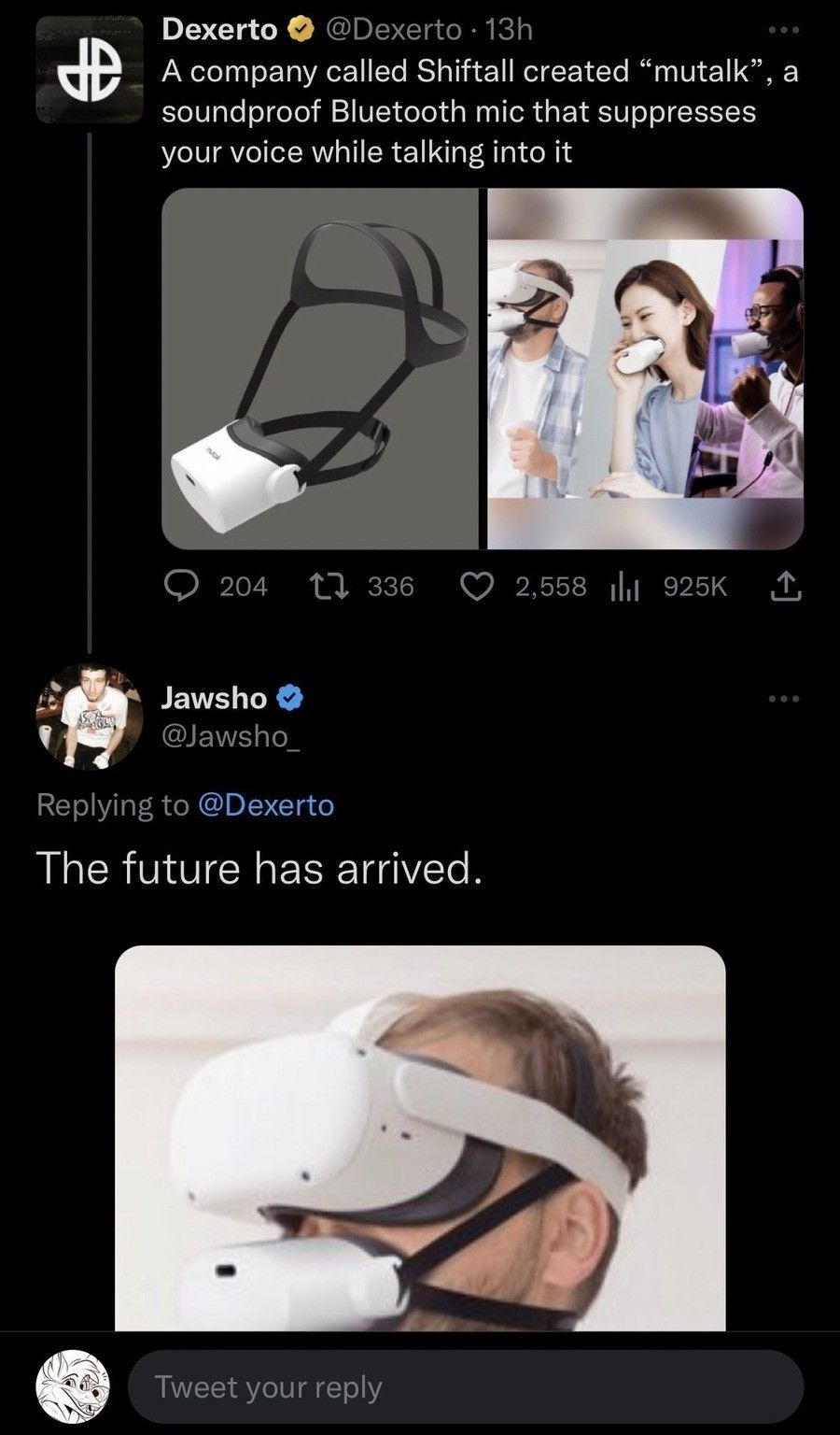 the future is stupid