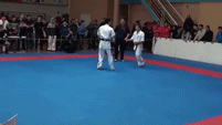 Epic karate knockout