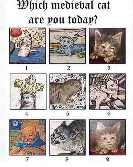 Think I'm an 8