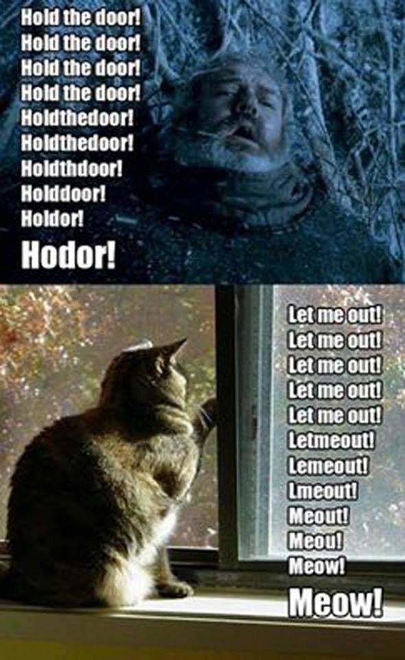 meow