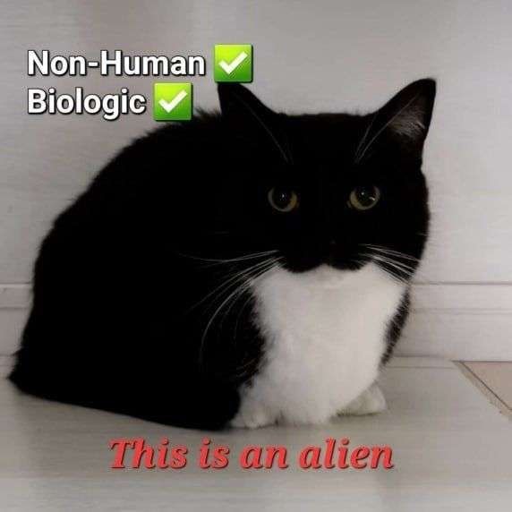 non