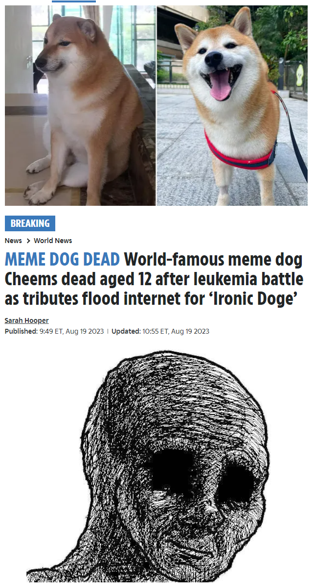 Guys..