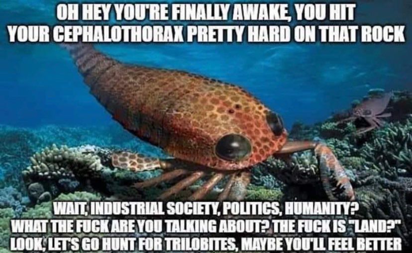 …