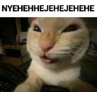 ***