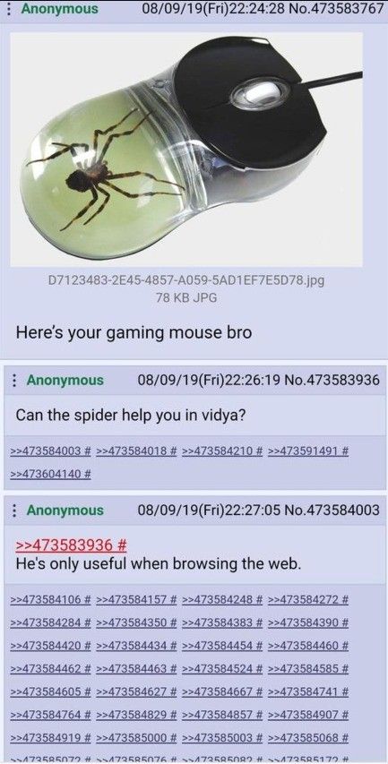 surfing spider