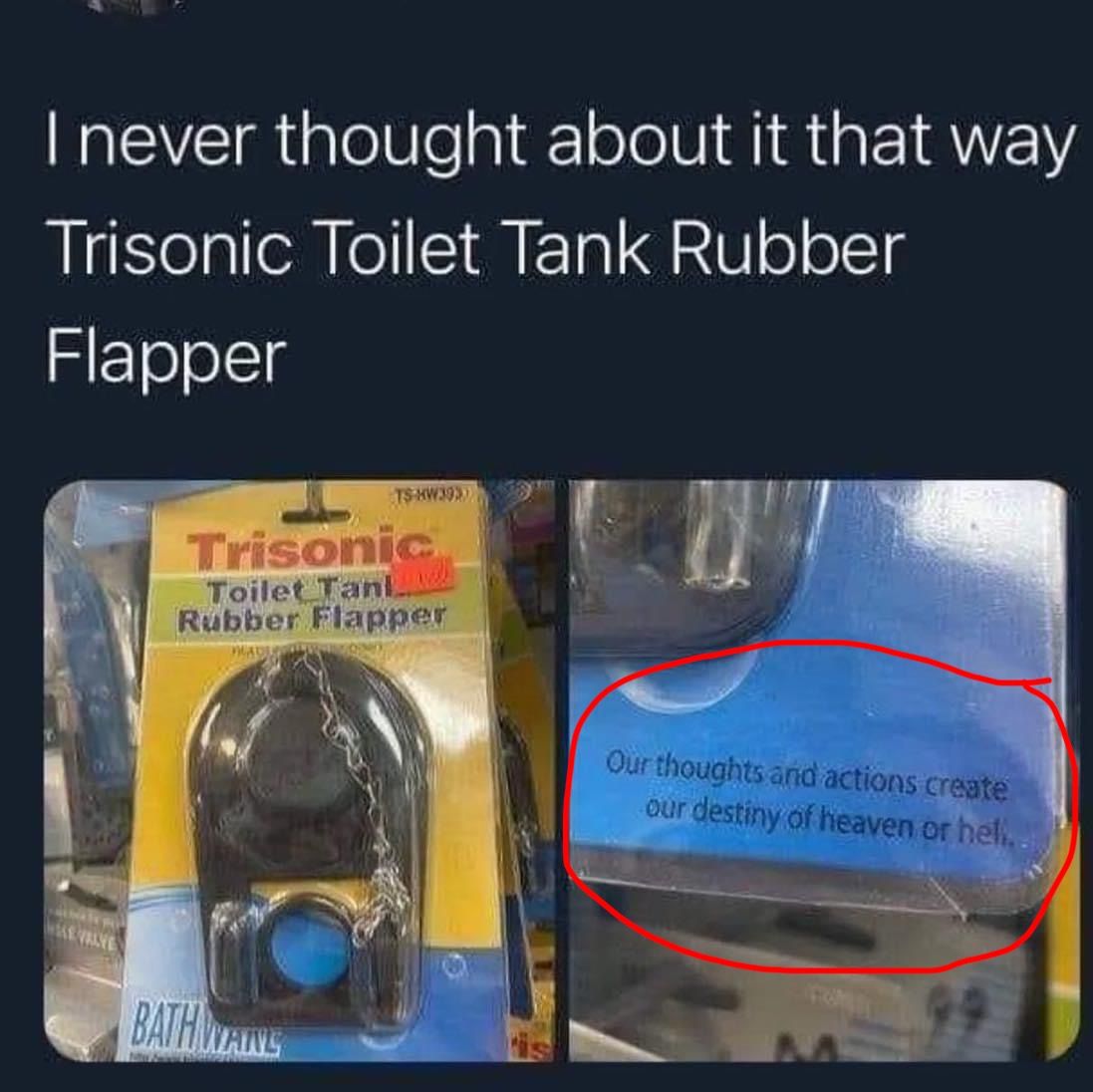 Therefore I flushed down all my sins