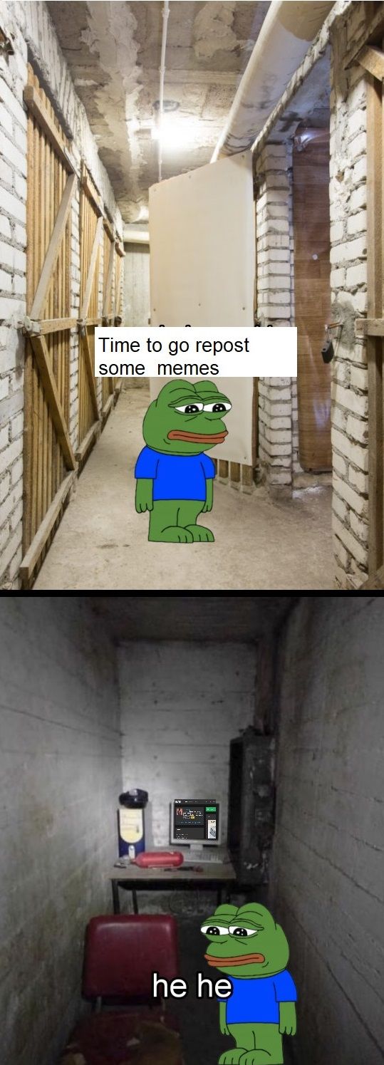 I'm actually a frog in a basement