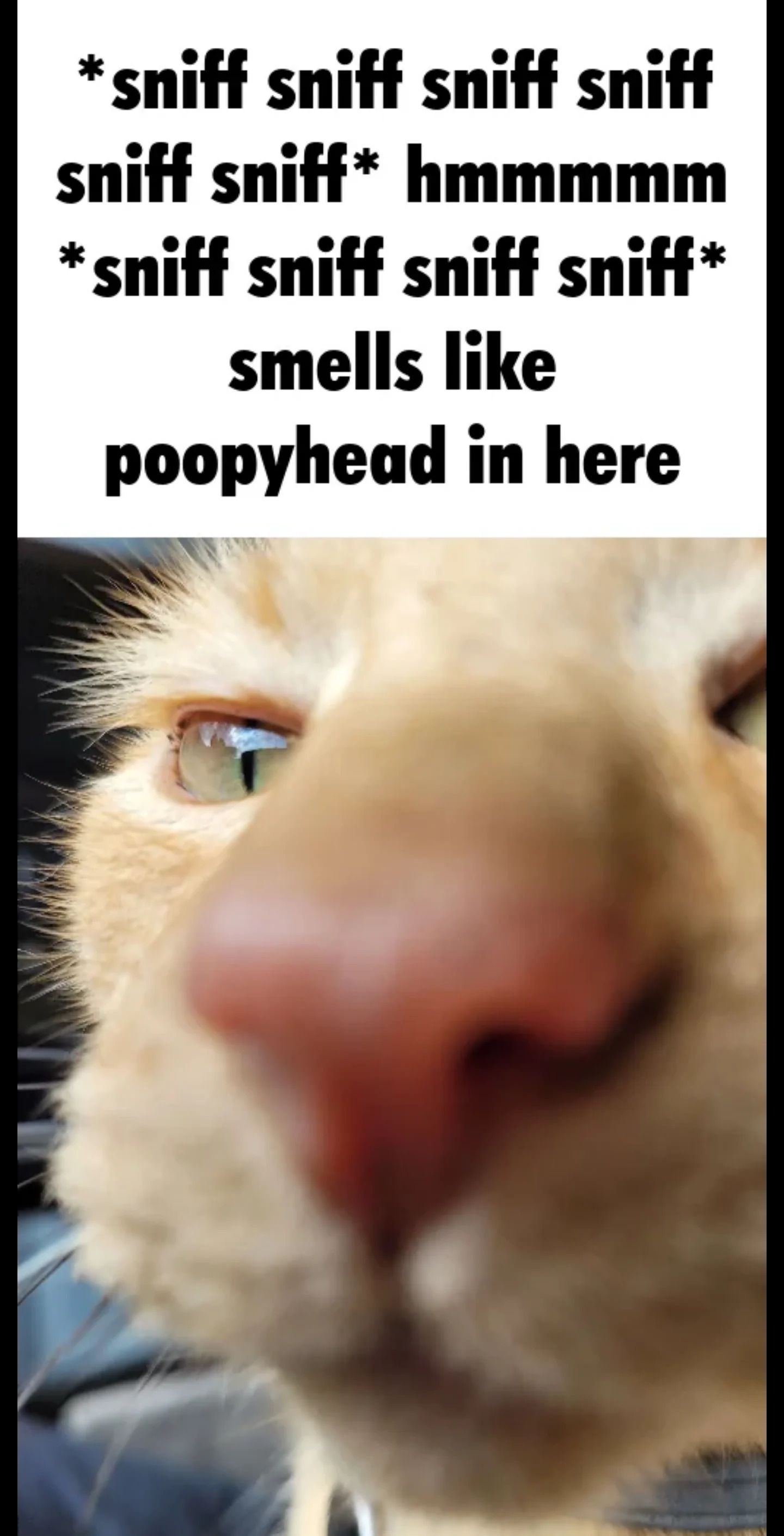 ***