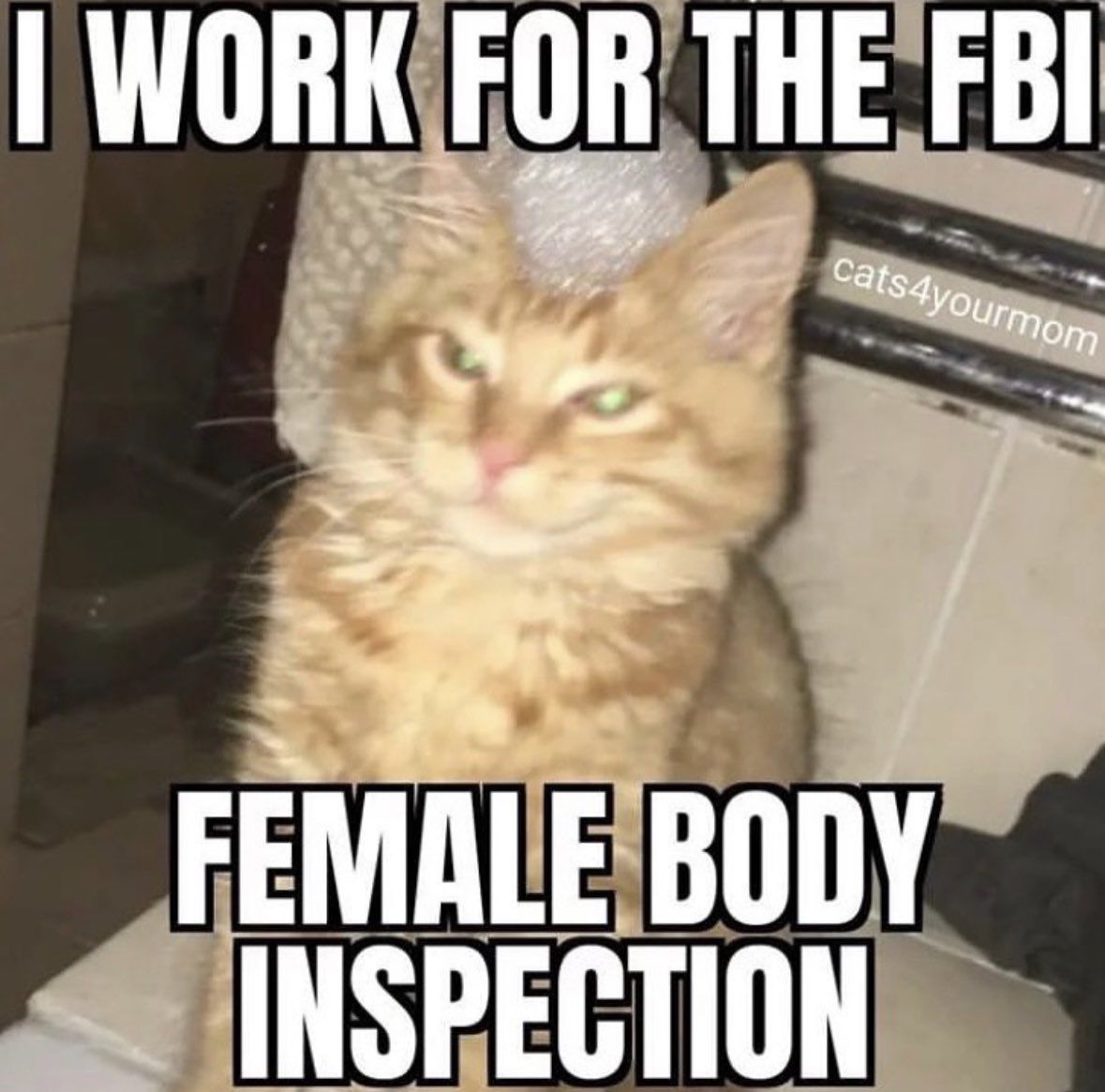 where are the hugelol wamen?