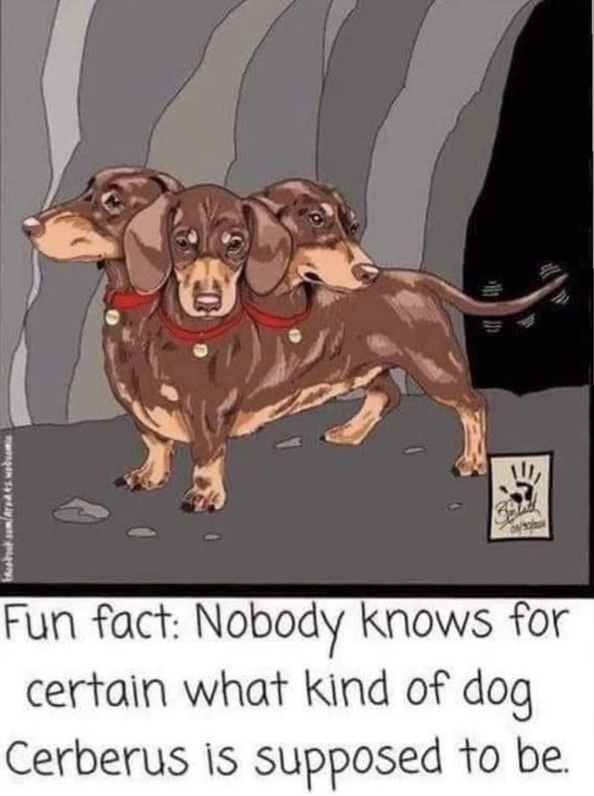 …