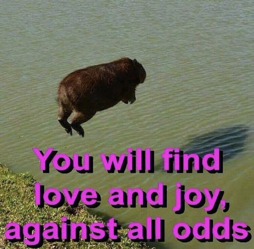 You are going to make it bro
