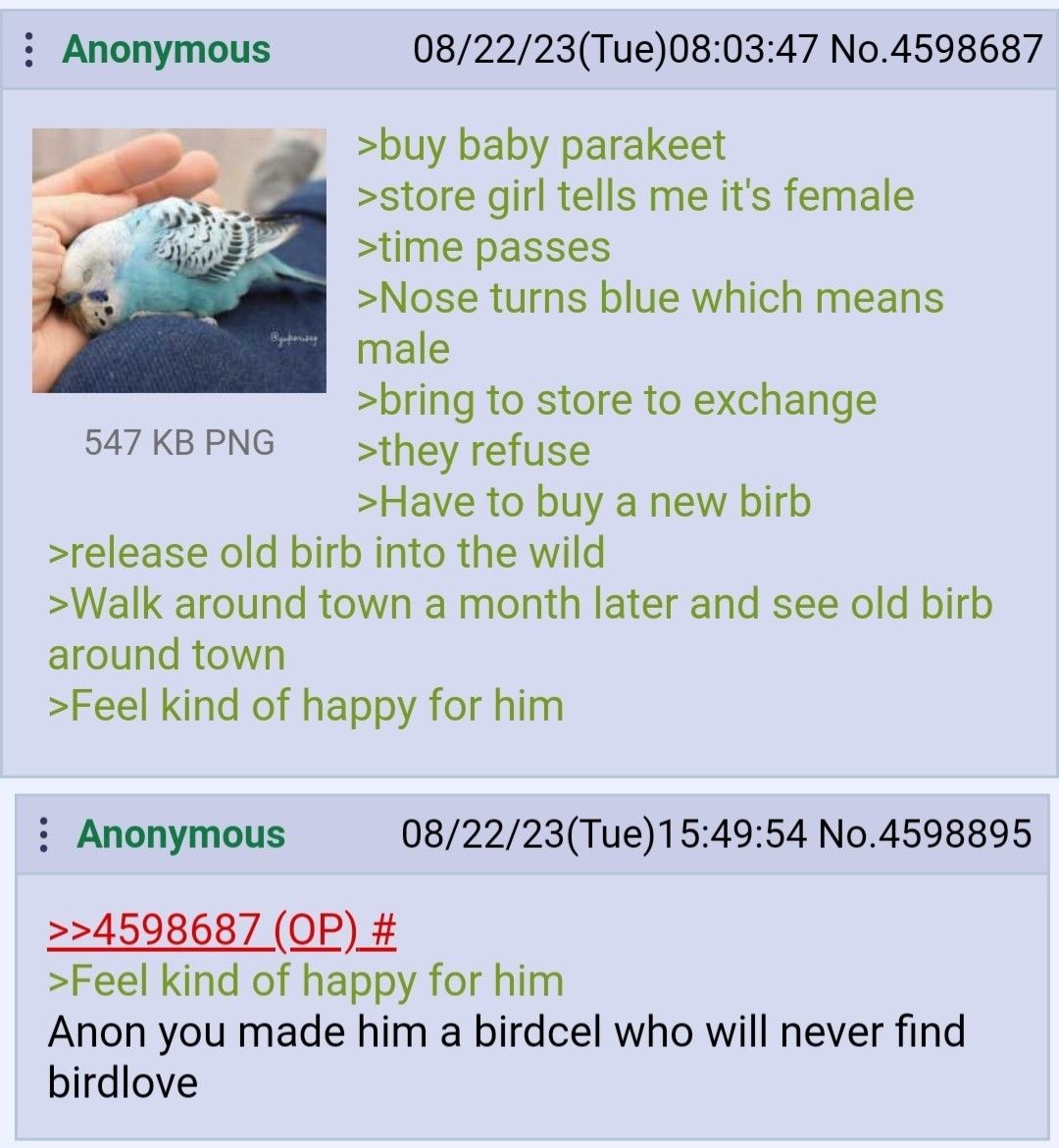 birdcel