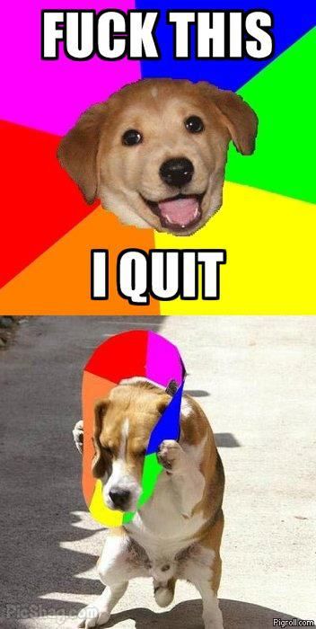 Advice dog quits