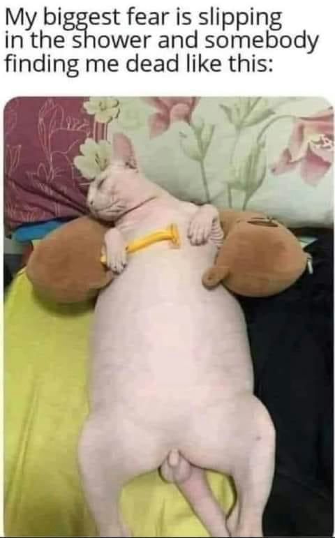 …