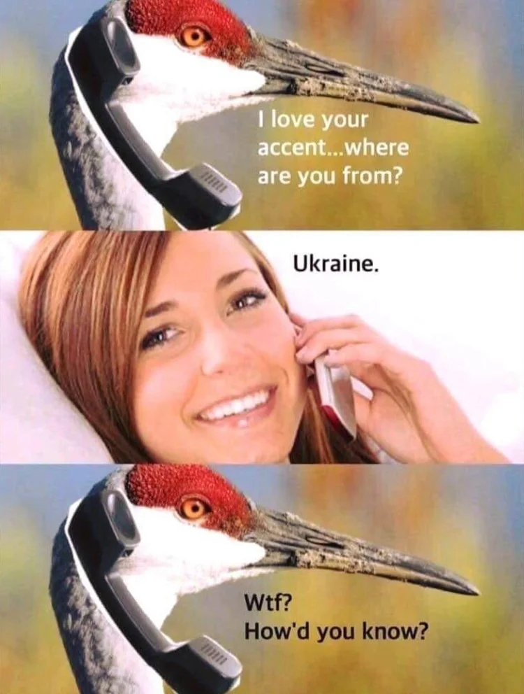 …