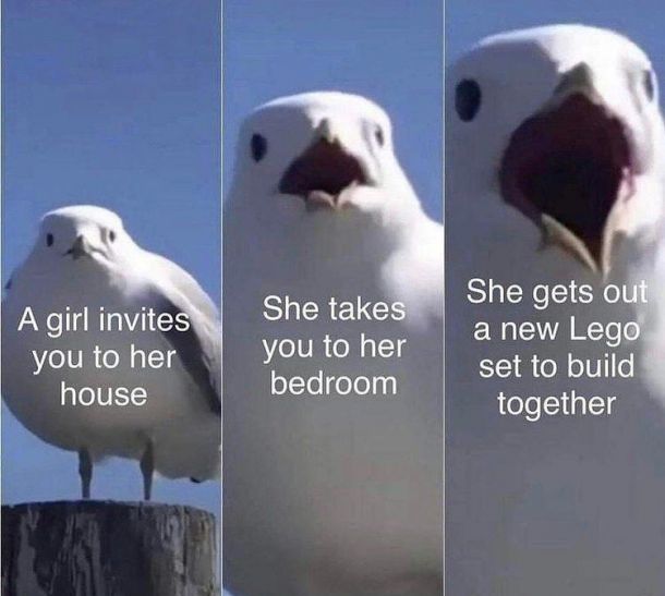 G.I.R.L.