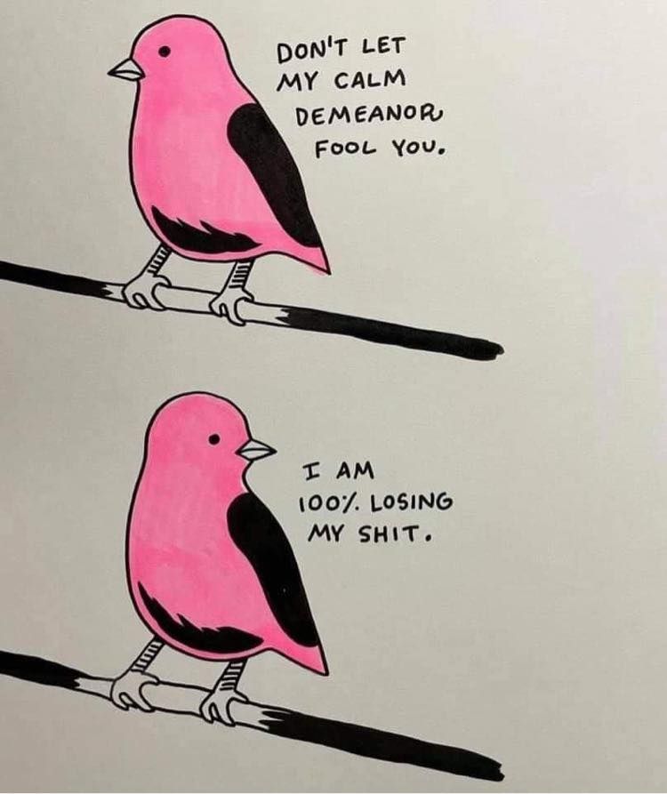 I remain quiet while inventing insults that would violate the Geneva convention