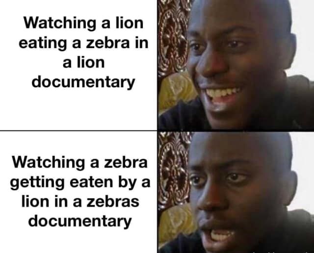 wait till you see zebras eating lions