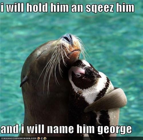 Poor penguin.