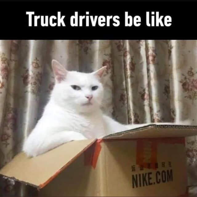 Driving a cardboard indoors while being a Dudders, haha yeah