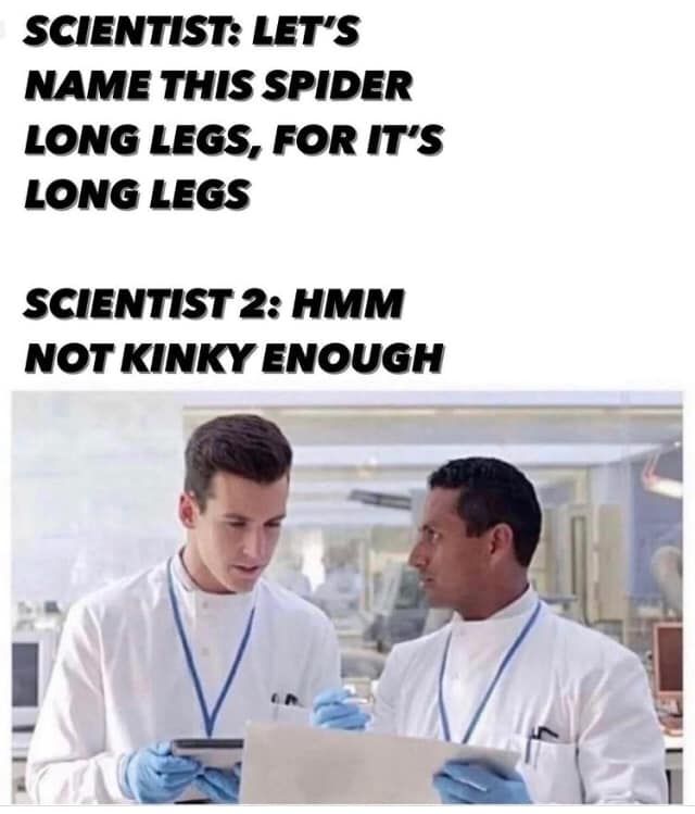 Father long legs?