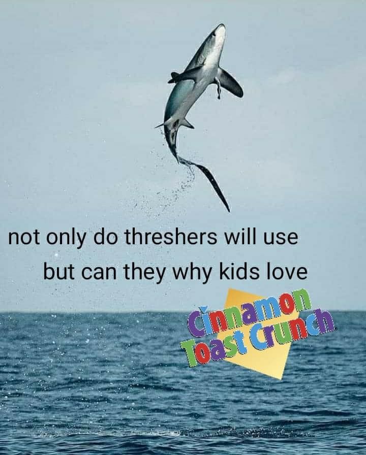 Where were you wen the why they when what they're did?