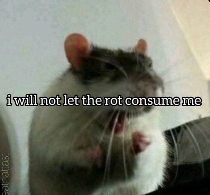 ***